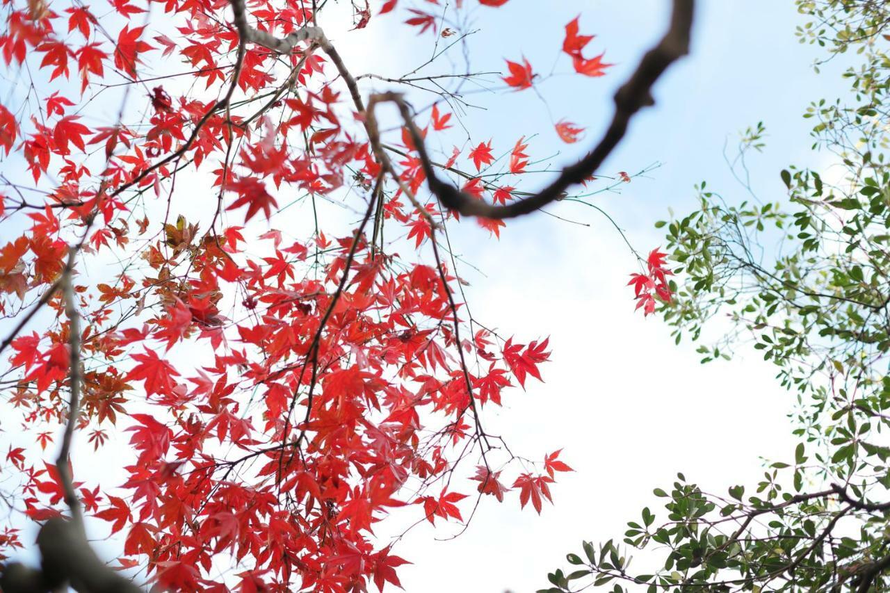 Ryokan Tanoya Kyōto Esterno foto